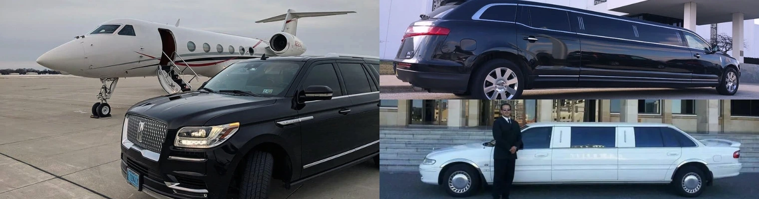 Skyline Chicago Limo