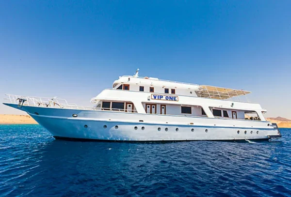 Red Sea Diving College