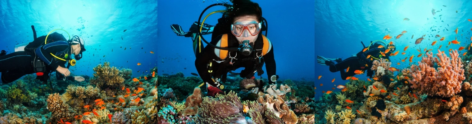 Red Sea Diving College